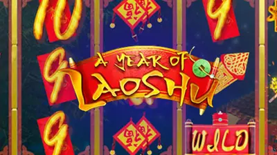 a year of laoshu maverick